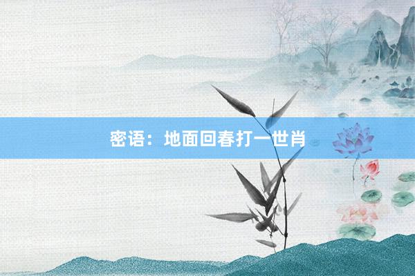 密语：地面回春打一世肖