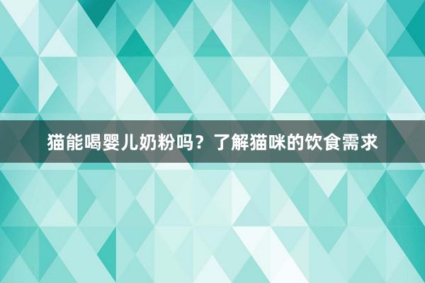 猫能喝婴儿奶粉吗？了解猫咪的饮食需求